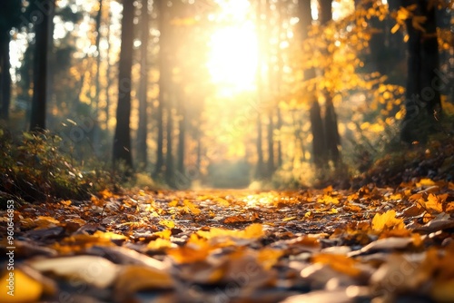 Wallpaper Mural Warm rays of sunlight illuminate a serene pathway blanketed in vibrant autumn leaves, creating a peaceful atmosphere in the quiet forest Torontodigital.ca