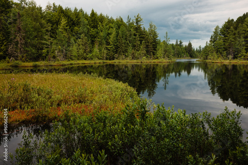 The bog shoreline of Devils Lake in Vilas County in early July photo