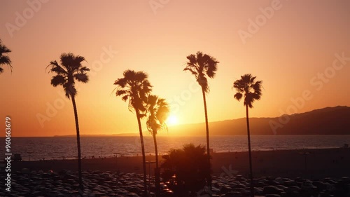 Scenic sunset between palm trees in Santa Monica state beach, Los Angeles, California photo