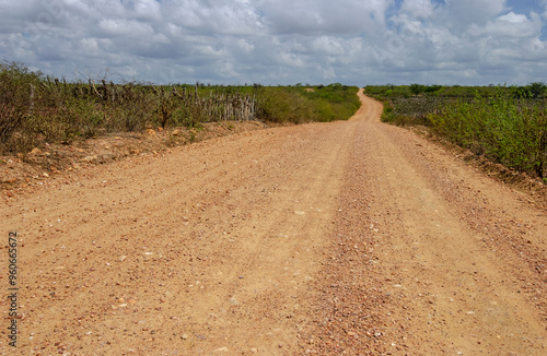 Dirt road in the interior of northeastern Brazil, cutting through the Caatinga biome, in Cariri Paraibano, Brazil.