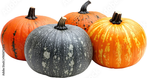 Assorted pumpkins with unique patterns and colors isolated on transparent background