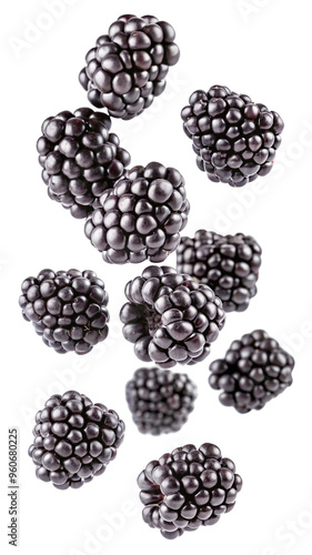 Falling Blackberry isolated on white background