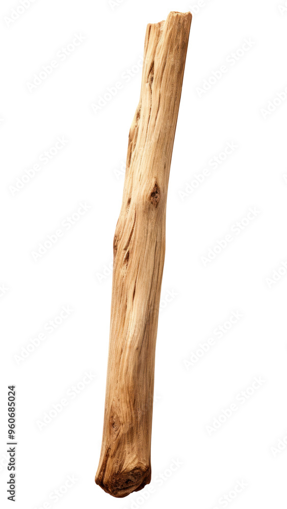 PNG Diftwood stick driftwood tree white background. PNG Diftwood stick driftwood tree white background.