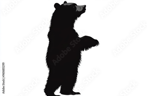 Wallpaper Mural An illustration of a bear with black shadows isolated on transparent background. A forest grizzly predator beast is waddling through the forest. Torontodigital.ca