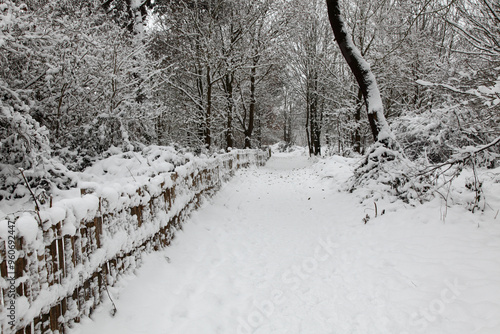 Winter landscape with trees and walking trail covered with snow during winter season. Location: Nature reserve Het Zwin at Knokke-Heist, Belgium, Europe. photo