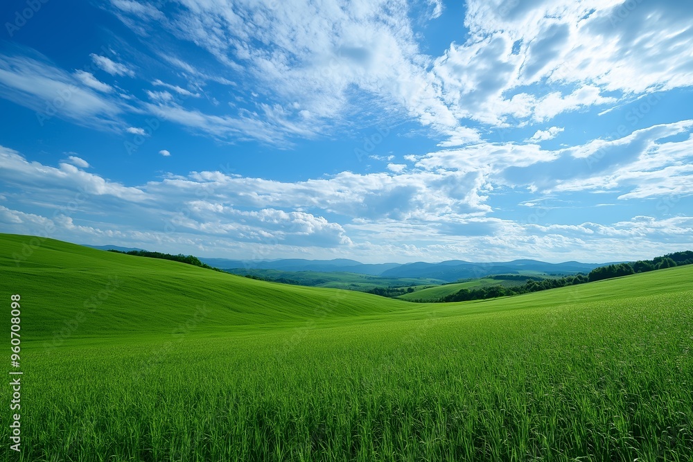 A wide, lush green meadow stretches beneath a large, blue sky dotted with clouds, capturing the essence of freedom. A wide, lush green meadow stretches beneath a large, blue sky dotted with clouds, capturing the essence of freedom.