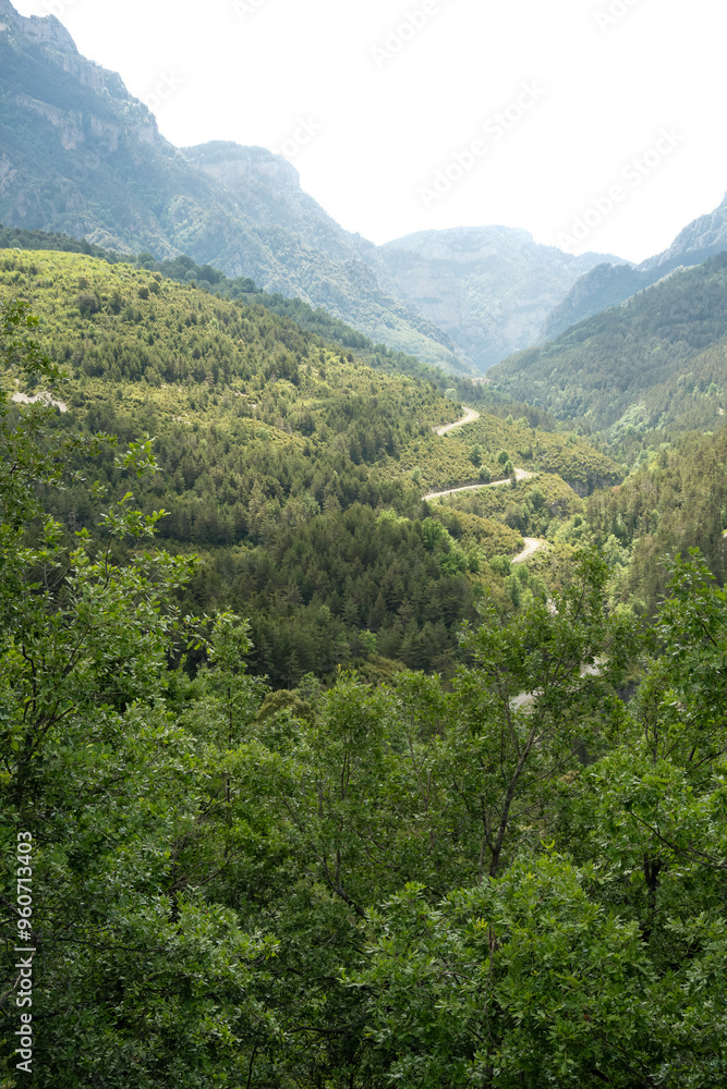 a road zig zags down through a tree-lined mountain valley a road zig zags down through a tree-lined mountain valley