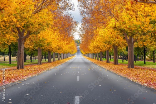 Mount Macedon, Victoria, with autumn leaves at Honours Avenue.