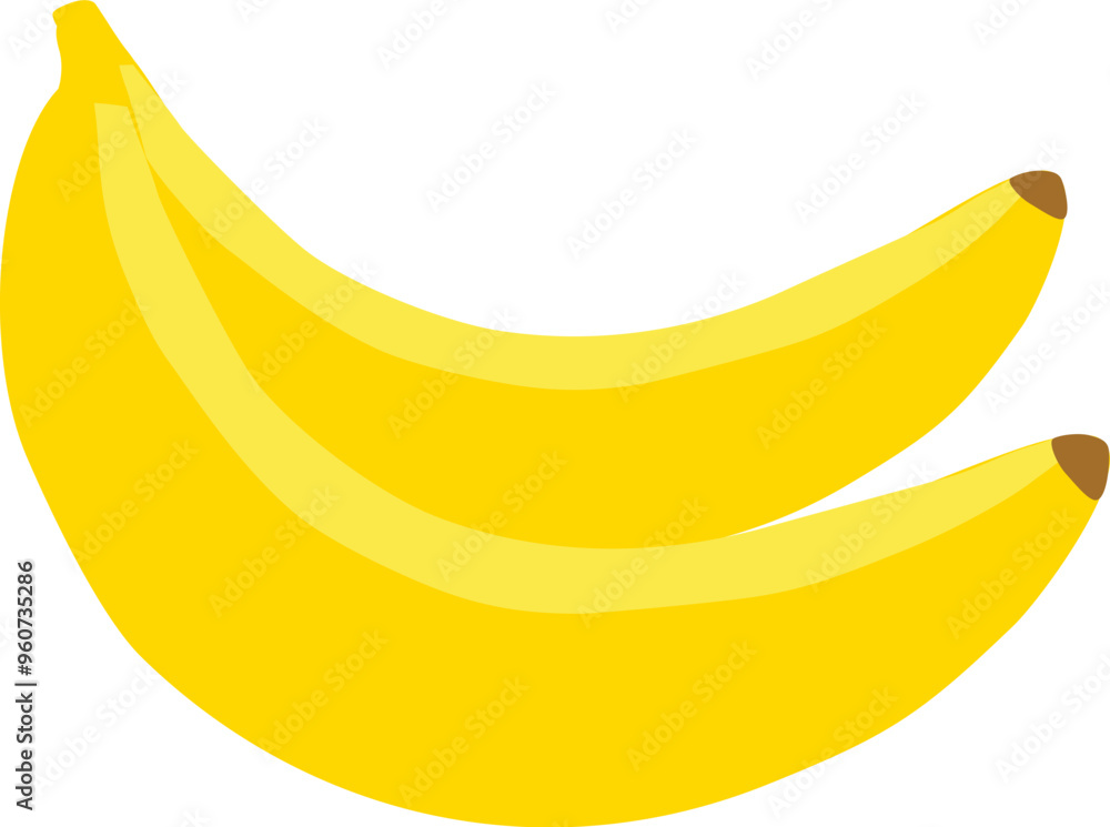 Summer Vector Banana