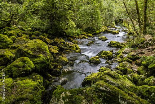 The spring of the Gljun stream near Bovec on a summer day, Slovenija