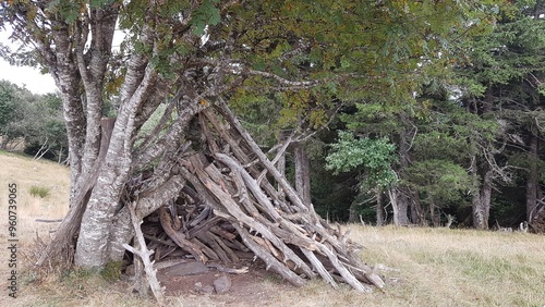 MONT AIGOUAL