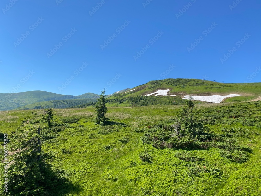 Obraz premium Carpathian Mountains in Ukraine