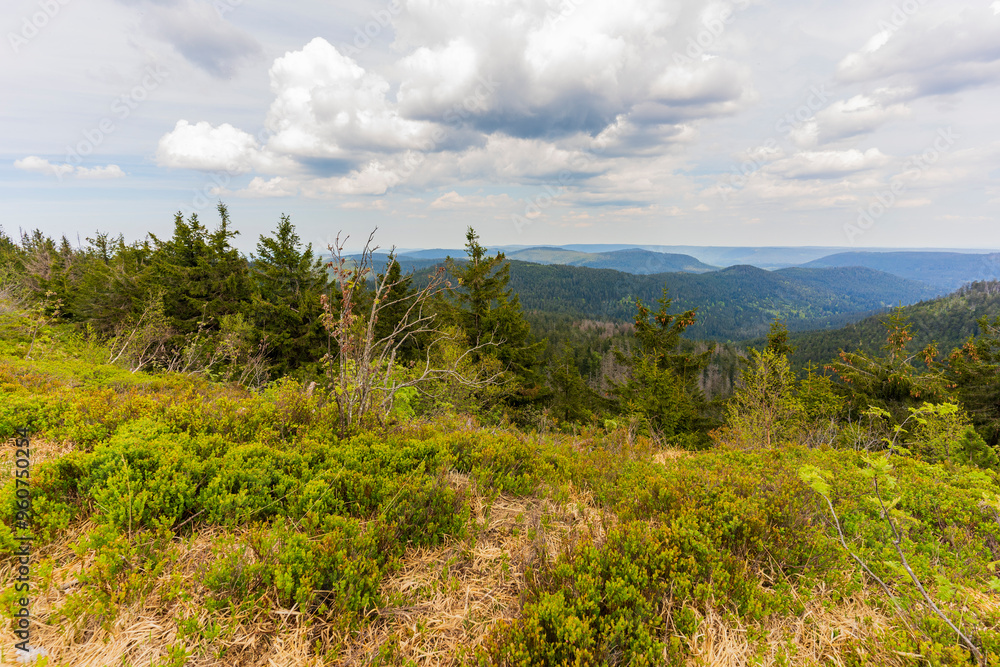Fototapeta premium Paysage de Mummelsee dans la Forêt-Noire près de Seebach