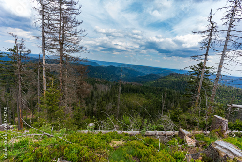 Paysage de  Mummelsee dans la Forêt-Noire près de Seebach photo