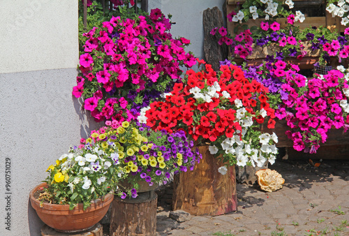 Photos angolo fiorito