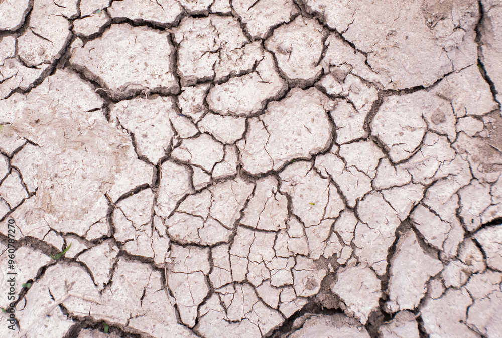 Fototapeta premium Dry earth, food crisis. Aridity Background