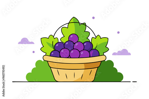 Basket of Fresh Green and Purple Grapes photo