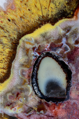 USA, Washington State, Sammamish. Quetzalcoatl Agate close-up photo