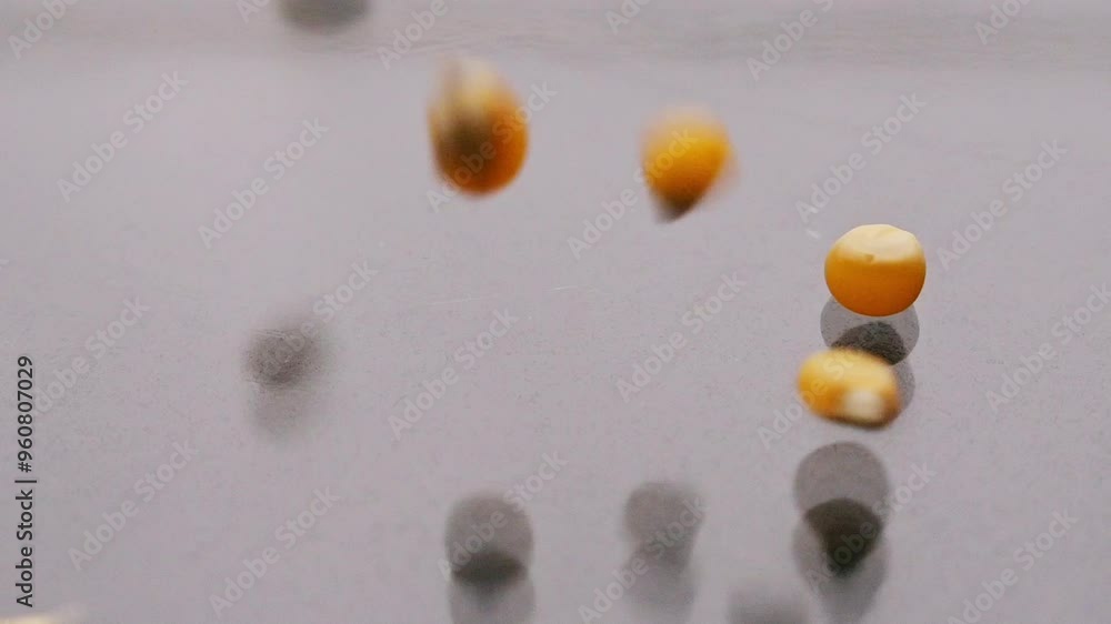 Some yellow pop corn kernels falling on glass Surface
Some yellow pop corn kernels falling on glass Surface