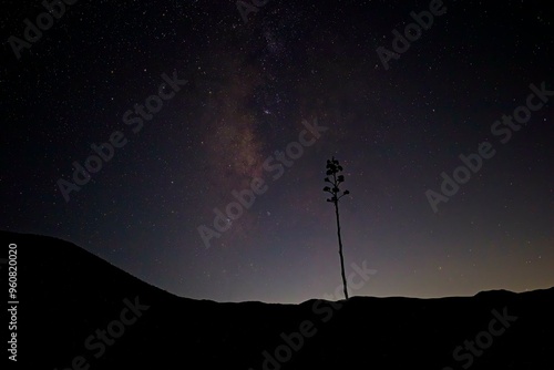 The galactic center risesabove the desert mountains in Anza Borrego Desert State Park, on the edges of the Colorado Desert 