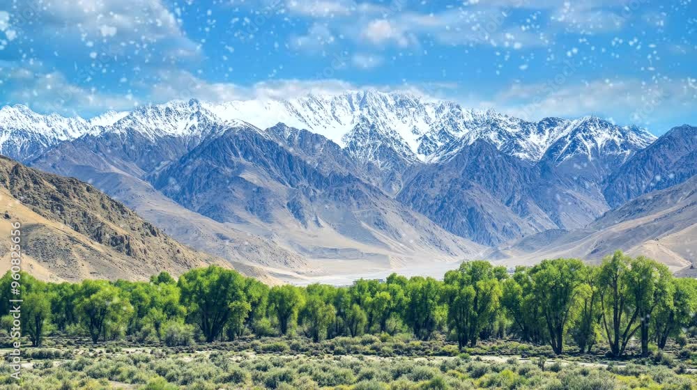 snowing in tibet mountain range with forrest and tree. seamless looping time-lapse virtual 4k video animation background snowing in tibet mountain range with forrest and tree. seamless looping time-lapse virtual 4k video animation background