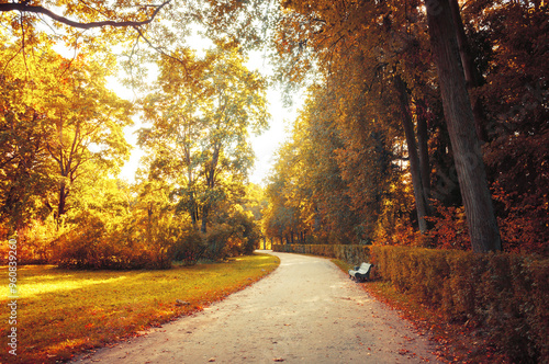 Fall landscape, picturesque September nature. Bench at the fall alley under colorful deciduous fall trees