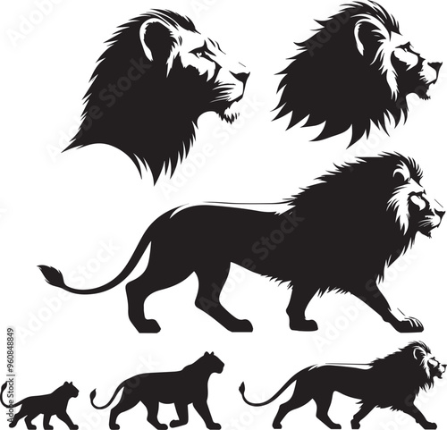 Lion Silhouette Vector photo