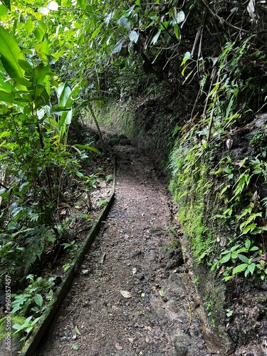 Hiking trail through the rainforest at a Costa Rican resort in the Alajuela province. photo