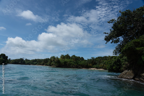 Tropical Beach Paradise with Clear Water, Palm Trees, and Blue Sky - A Serene, Unspoiled Island Destination Offering Eco-Tourism and Adventure Travel in a Beautiful, Scenic Caribbean Setting