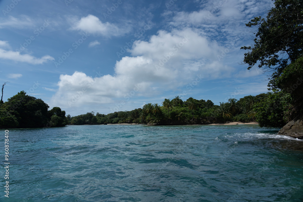 Obraz premium Tropical Beach Paradise with Clear Water, Palm Trees, and Blue Sky - A Serene, Unspoiled Island Destination Offering Eco-Tourism and Adventure Travel in a Beautiful, Scenic Caribbean Setting