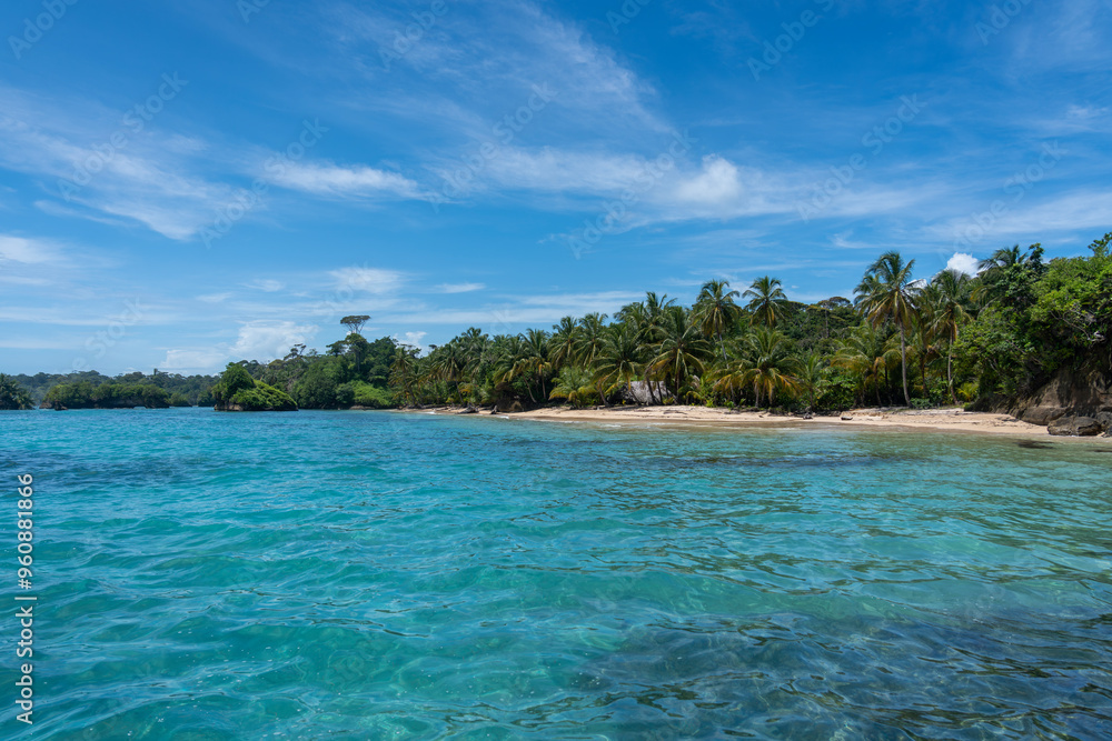 Clear Blue Water and Scenic Tropical Beach Surrounded by Palm Trees and Lush Nature - A Serene Island Paradise Offering Eco-Tourism and Adventure Travel in a Remote, Unspoiled Caribbean Destination Clear Blue Water and Scenic Tropical Beach Surrounded by Palm Trees and Lush Nature - A Serene Island Paradise Offering Eco-Tourism and Adventure Travel in a Remote, Unspoiled Caribbean Destination