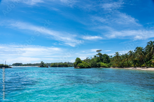 Clear Blue Water and Scenic Tropical Beach Surrounded by Palm Trees and Lush Nature - A Serene Island Paradise Offering Eco-Tourism and Adventure Travel in a Remote, Unspoiled Caribbean Destination