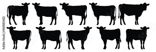 Cow silhouettes set, animal pack of vector silhouette design, isolated background