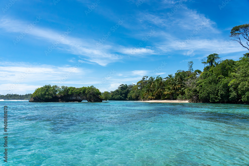 Fototapeta premium Clear Blue Water and Scenic Tropical Beach Surrounded by Palm Trees and Lush Nature - A Serene Island Paradise Offering Eco-Tourism and Adventure Travel in a Remote, Unspoiled Caribbean Destination
