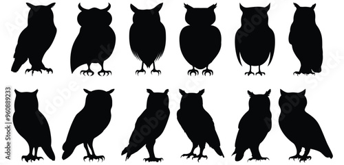 Owl silhouette set vector design big pack of bird illustration and icon