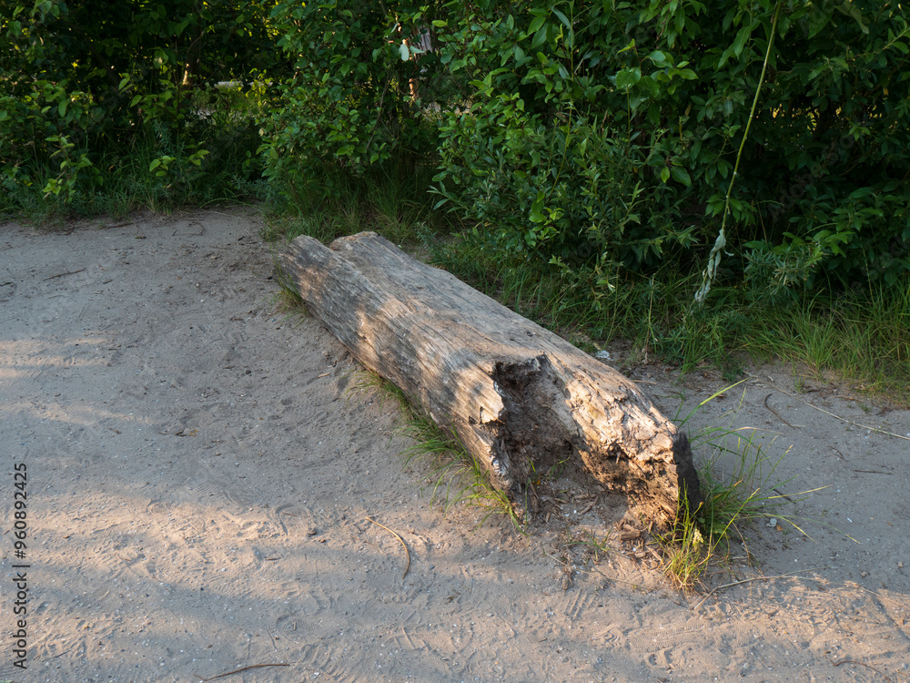 Wooden Log in Children’s Outdoor Play Area Wooden Log in Children’s Outdoor Play Area