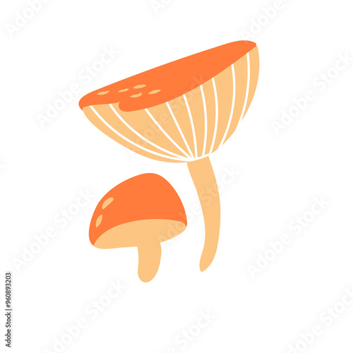 Russula mushroom. Red cap fungi, autumn forest food plant. Gilled fungus. Cozy fall russule icon. Botanical flat graphic vector illustration isolated on white background