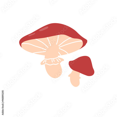 Yellow boletus autumn forest food plant.  Cozy fall boletus icon mushroom with brown cap and white stem isolated on white background. Botanical flat graphic vector illustration isolated