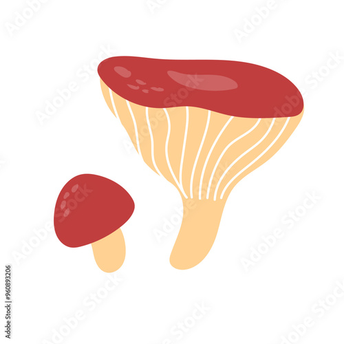Russula mushroom. Red cap fungi, autumn forest food plant. Gilled fungus. Cozy fall russule icon. Botanical flat graphic vector illustration isolated on white background