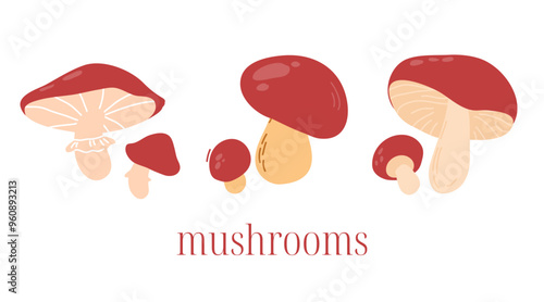 Set of edible mushrooms. Saffron milk cap and Yellow boletus isolated on a white background. Cozy vector illustration of vegetarian food