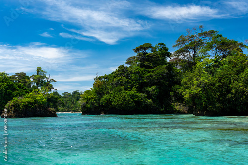 Clear Blue Water and Scenic Tropical Beach Surrounded by Palm Trees and Lush Nature - A Serene Island Paradise Offering Eco-Tourism and Adventure Travel in a Remote, Unspoiled Caribbean Destination