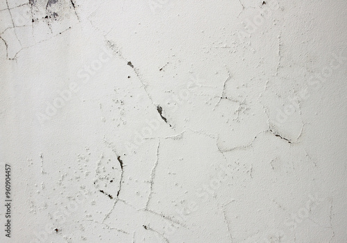 Wallpaper Mural Cracked and swollen cement walls with moisture-induced mold as a background Torontodigital.ca