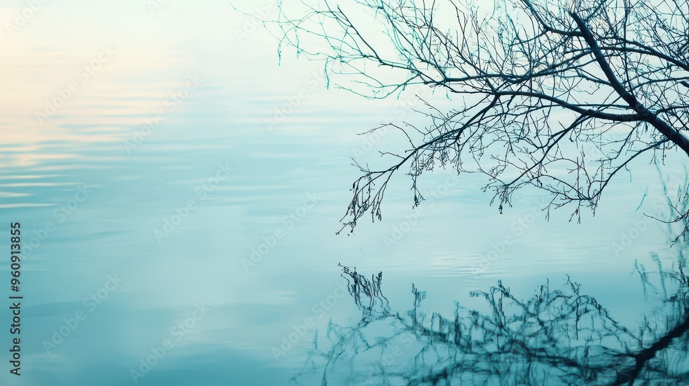 Fototapeta premium Bare Branches Reflecting on Calm Water