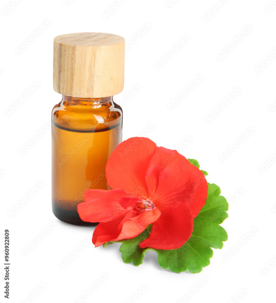 Bottle of geranium essential oil and beautiful flower isolated on white Bottle of geranium essential oil and beautiful flower isolated on white