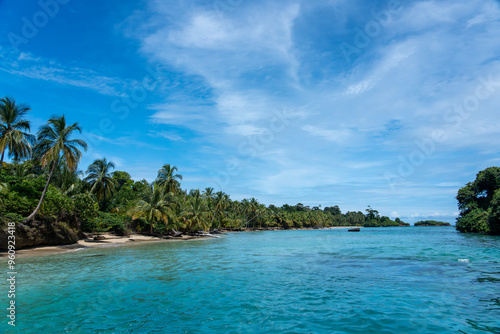 Water, Sea, and Tropical Beach Paradise with Palm Trees and Clear Blue Sky - Serene Island Destination with Lush Nature, Greenery, and sea for a Peaceful and Scenic Caribbean Eco-Tourism Vacation