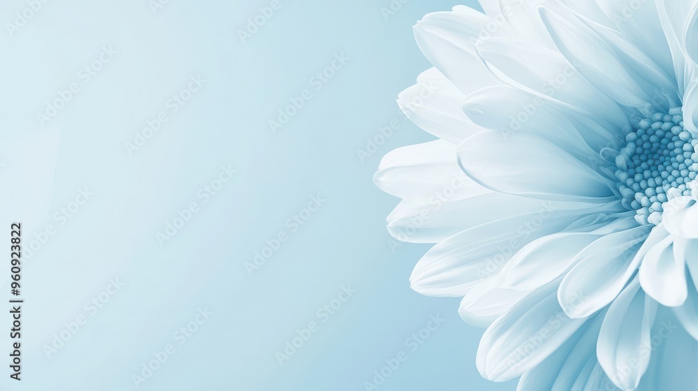 Obraz premium Blue Flower Petals Abstract Background
