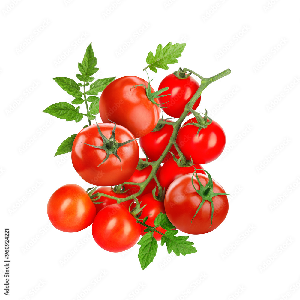 Fresh tomatoes with green leaves in air on white background Fresh tomatoes with green leaves in air on white background