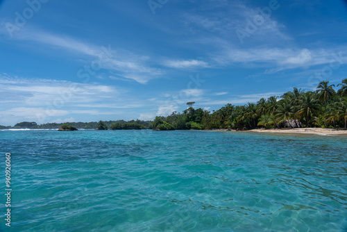 Water, Sea, and Tropical Beach Paradise with Palm Trees and Clear Blue Sky - Serene Island Destination with Lush Nature, Greenery, and sea for a Peaceful and Scenic Caribbean Eco-Tourism Vacation