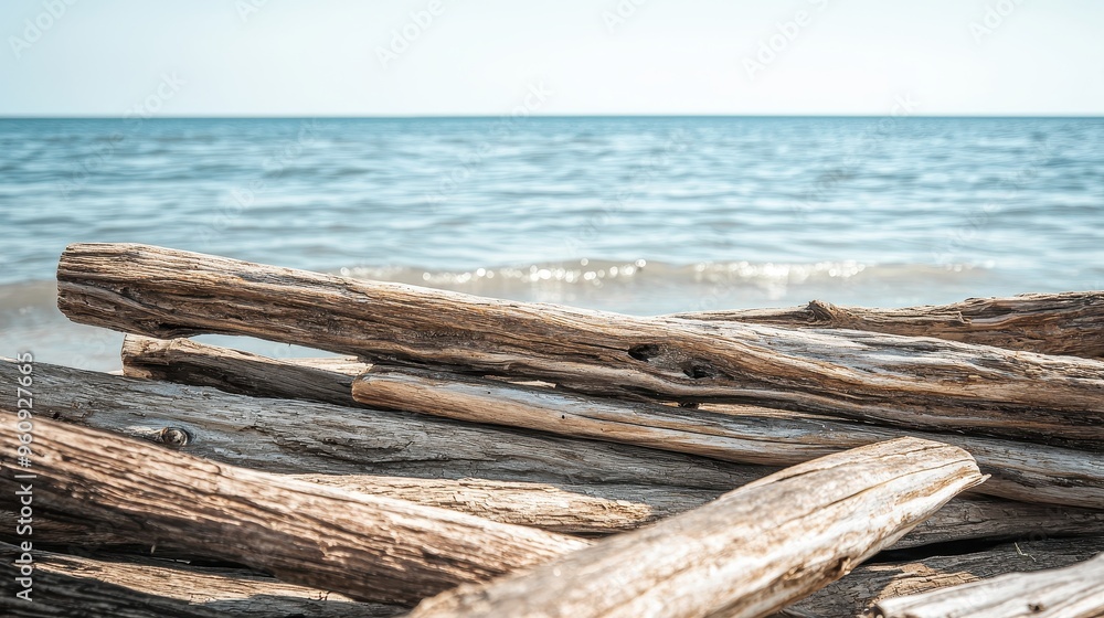 Driftwood on Beach with Ocean in Background Driftwood on Beach with Ocean in Background