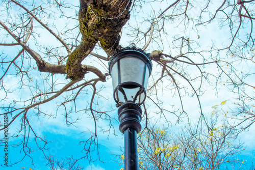 FAROLA Y ARBOL